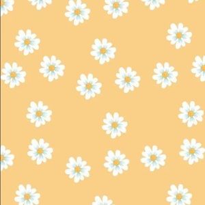 Meet your Posher, Kaolychia